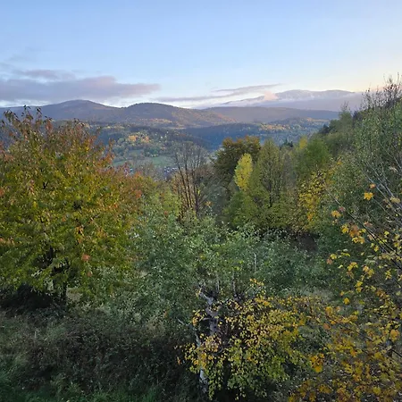 Na Niedzwiedziarce * Zawoja