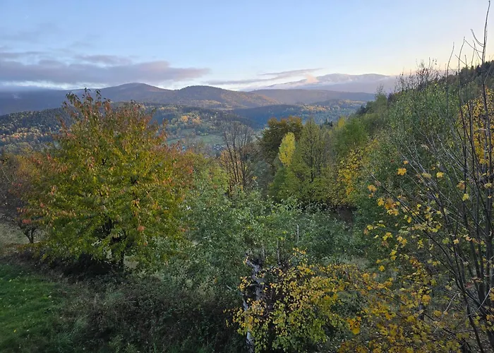 Na Niedzwiedziarce * Zawoja